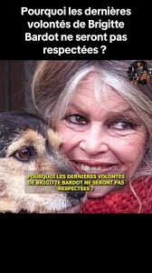 Histoire d'Amour: Andy, le compagnon de Mika