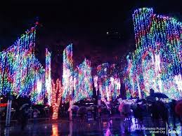 Image result for Christmas lights display at Ayala Makati