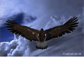 Colorful Birds Flying In The Sky Gif Https Encrypted Tbn0 Gstatic Com Images Q Tbn 3aand9gctpdcz2auww6so2hjidtdrga0as0qbfwu09gw Usqp Cau