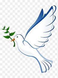 It is used as a charm for bringing good luck as it's leaves always stand up when a storm is approaching as a warning to people. Columbidae Doves As Symbols Peace Symbols Drawing Flying Hope White Leaf Png Pngegg