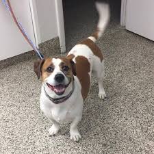 Our outstanding emergency vets and support staff are available 24/7, so we're. Family Pet Animal Hospital Home Facebook