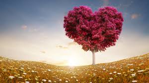 Image result for love picture
