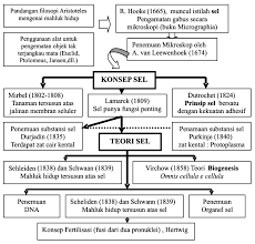 Plasma darah tersusun atas • protein yang terdiri plasma darah karena mengandung 90% air terdiri atas albumin,fibrinogen dan serum. Https Www Pustaka Ut Ac Id Lib Wp Content Uploads Pdfmk Pefi442402 M1 Pdf