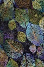 Pin By Raphaelle Drew On Color Leaf Art Abstract Natural Forms
