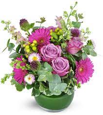 Maybe you would like to learn more about one of these? Florist S Choice Daily Deal Minneapolis Mn Florist