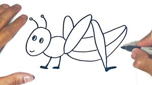 How To Draw A Grasshopper For Kids Drawings Tutorials Youtube Check out our fun grasshopper facts for kids. how to draw a grasshopper for kids drawings tutorials