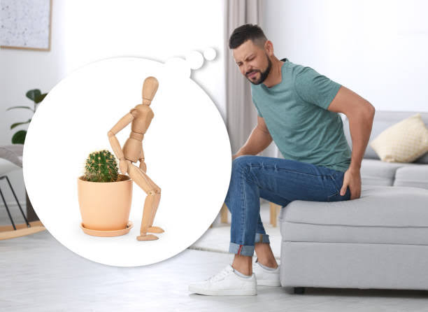 Piles Treatment in Shikrapur, Maharashtra product image