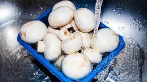 Slimy mushrooms are abnormal, and they should not be eaten. Here S How To Tell If Your Mushrooms Have Gone Bad