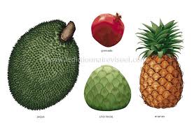 Alimentation Et Cuisine Alimentation Fruits Fruits Tropicaux Image Dictionnaire Visuel Fruits Tropicaux Fruits Alimentation