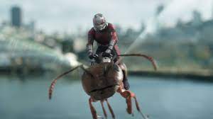 Ant Man Riding Ant In Ant Man And The Wasp Ant Man Wasp Movie Marvel