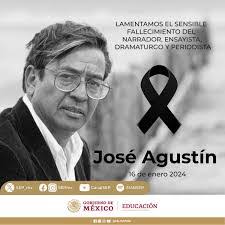 Patricia Castilleja's Instagram, Twitter & Facebook