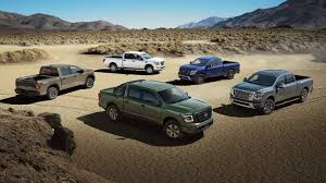 Image result for Tan 2024 Fleet