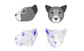 You guys asked for it! Sketchbook Original How To Draw Big Cats Monika Zagrobelna