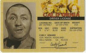 Amazon.com: Driver License Three Stooges Curly Style : Automotive