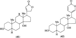 Image result for Strophanthus welwitschii