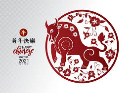 Chinese New Year 2021 Wallpaper Happy Year Of Ox 2021 Cow Bull In 2020 Chinese New Year Images Chinese New Year Wallpaper Chinese New Year