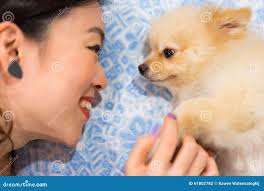 Asian Girl and Her Cute Dog Staring into Each Other S Eyes Stock Photo -  Image of family, handshake: 67802782