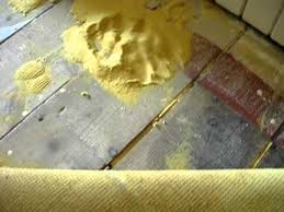 At carpet underlay shop, we have a huge variety of carpet underlay from sponge rubber to pu foam, thermal insulating to noise reducing. Carpet Underlay Youtube
