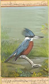 Birds That Cannot Fly In India Artnindia Kingfisher Art South Asian Art Nature Art