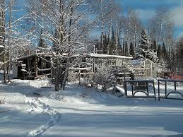 How to Survive and Thrive When the Power is Out: Noakes, J L:  9781503548640: Amazon.com: Books