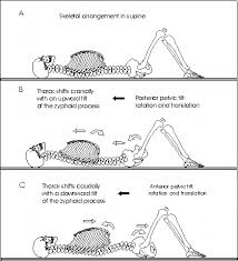 Pelvic Tilt Yoga Anatomy Pelvic Floor Pilates