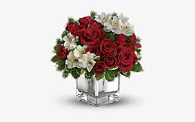 Happy birthday to the most amazing person, who has taught me to live and enjoy life. Christmas Blush Birthday Wishes For Brother In Marathi Transparent Png 400x570 Free Download On Nicepng