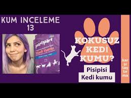 pisipisi kedi kumu inceleme kedi kumu onerisi youtube
