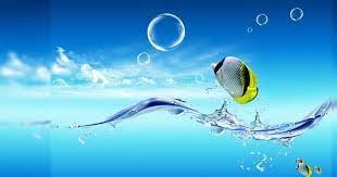21 Pc Wallpaper 3d 4k 40 Live Wallpapers In 4k Full Hd For Free Download 2560 4k Live Wallpapers Free Animated Wallpaper Animated Wallpaper For Pc