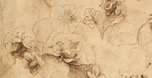 Il linguaggio dei fiori giapponese è chiamato hanakotoba. Studio Di Fiori Gallerie Dell Accademia Di Venezia