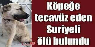 Kopege Tecavuz Eden Suriyeli Oldu