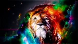 7 3d Animals Google Camera Online Image Hd The Animal Wallpaper Image