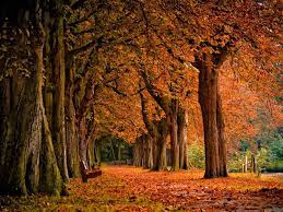 Http Www Wallpaperstop Com Wallpapers Nature Wallpapers Autumn Wallpapers Autumn Scenery Background 1280x960 1 Autumn Landscape Autumn Scenery Fall Wallpaper
