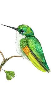 Pin By Janekashley On Fondos Para Imagen In 2020 Watercolor Hummingbird Hummingbird Painting Watercolor Bird