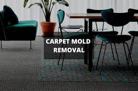 If i could rip out all of the carpeting in my apartment and replace it with wood floors i totally would. How To Remove Mold From Carpet With Vinegar Mold Remediation