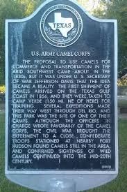 The camels that arrived at indianola despite successful expeditions throughout west texas, the camels' general unpopularity and the for more information about the books and other materials available at the texas state library and. U S Army Camel Corps Historical Marker