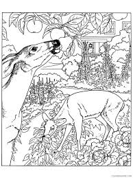 Maybe you would like to learn more about one of these? Nature Coloring Pages Adult Nature For Adults 11 Printable 2020 679 Coloring4free Coloring4free Com