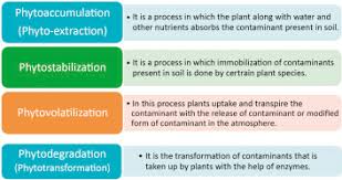 Which of the following is an example of a product modification? Environmentally Friendly Product An Overview Sciencedirect Topics