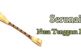 Golongan toke, yaitu alat musik yang dipukul dengan alat pemukul, misalnya genda (gendang) golongan ndiri, yaitu alat musik gesek misalnya biola mbojo ( biola … 5 Alat Musik Tradisional Ntb Halaman All Kompas Com