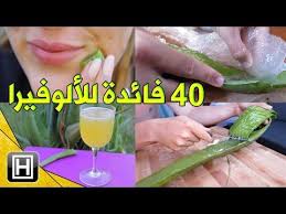 استخدامات جل الصبار Aloe Vera Gel للبشرة والشعر وكبديل طبيعي لمستحضرات العناية و المكياج Youtub Essential Oil Remedy Essential Oils Aromatherapy Oil Remedies