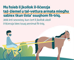• kitba ċara, pulita u li tinqara sew. Transport Malta Hal Lija Government Organization Facebook