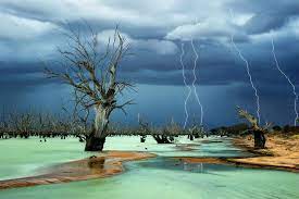 2013 national geographic photography contest winners national geographic photography national geographic photo contest national geographic photos