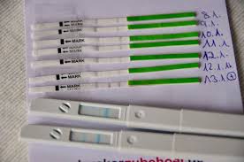 Jetzt für üz 14 habe ich mir die lilanen clearblue ovulationstest gekauft, wann würdet ihr damit beginnen? Das Clearblue Fertilitatsmonitor Experiment Tipps Fur Eltern Baby Kind Und Meer