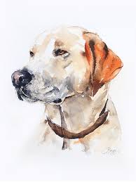 In this watercolor tutorial, we'll paint a dog pet portrait! 450 Best Watercolor Dog Portrait Ideas Dog Portraits Dog Art Watercolor Dog