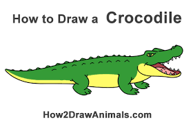 We did not find results for: How To Draw A Crocodile Alligator Cartoon