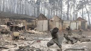 Great savings on hotels & accommodations in pedrogao grande, portugal. Portugal Diz Que Incendio Em Pedrogao Grande Esta Quase Controlado Diario Do Estado