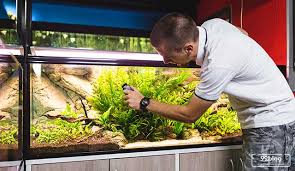 7 Cara Membersihkan Kaca Aquarium Dari Kerak Simpel Ampuh