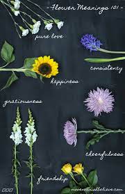 Flower Meanings Decoded The Secrets Of Your Favourite Bloom Move Nourish Believe Flower Meanings Flowers Types Of Flowers