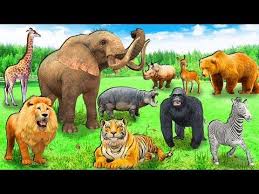 Best Animal Sounds Song Jungle Youtube Zoo Animals Funny Animal Videos Zoo Animals Names