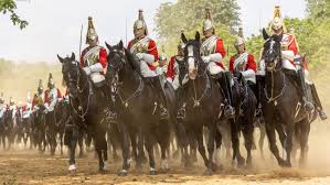 We did not find results for: Nothing Short Of Excellence Would Do Household Cavalry Dazzle In Inspection For Queen S Birthday Parade Horse Hound