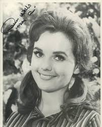 Gilligan's Island Dawn Wells Signed Photo